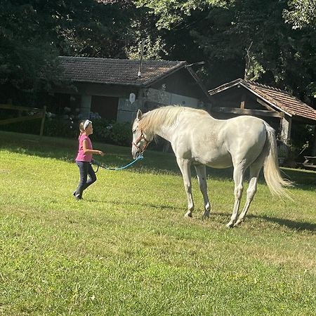 Quinta De Maderne Villa Felgueiras Kültér fotó
