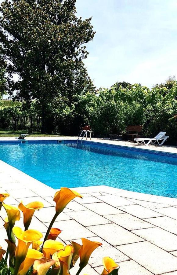 Quinta De Maderne Villa Felgueiras Kültér fotó
