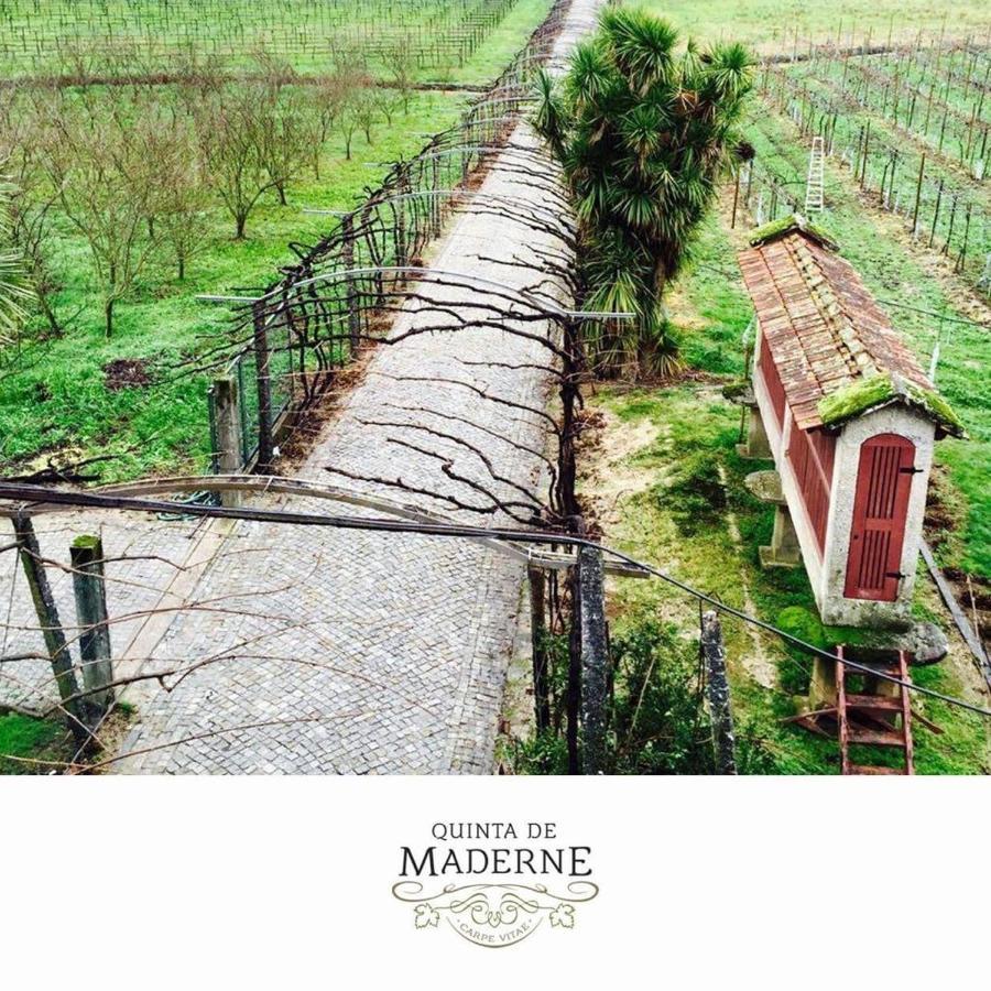 Quinta De Maderne Villa Felgueiras Kültér fotó