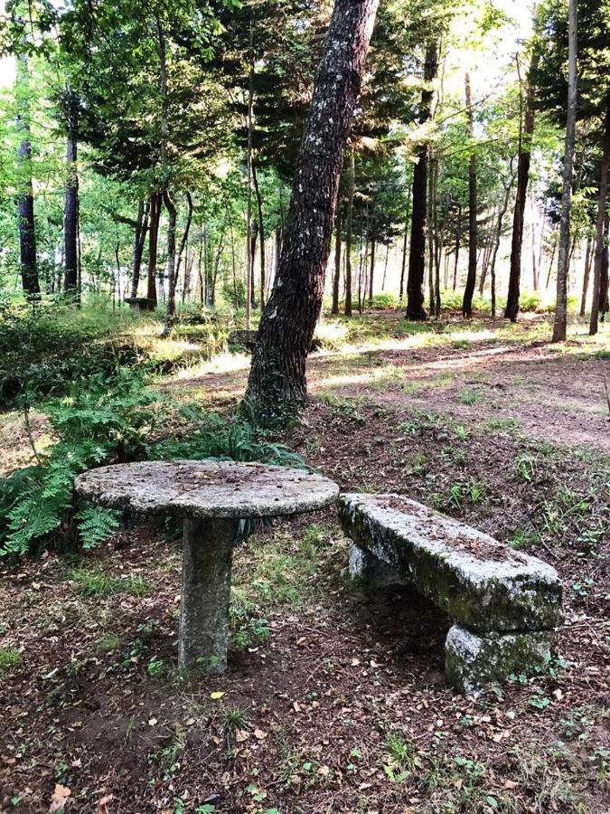 Quinta De Maderne Villa Felgueiras Kültér fotó