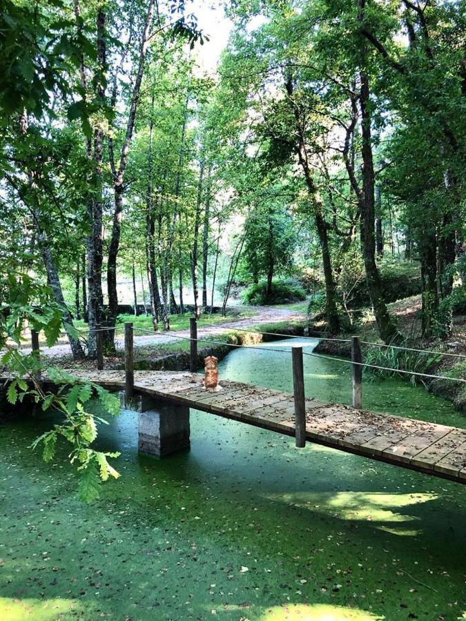 Quinta De Maderne Villa Felgueiras Kültér fotó
