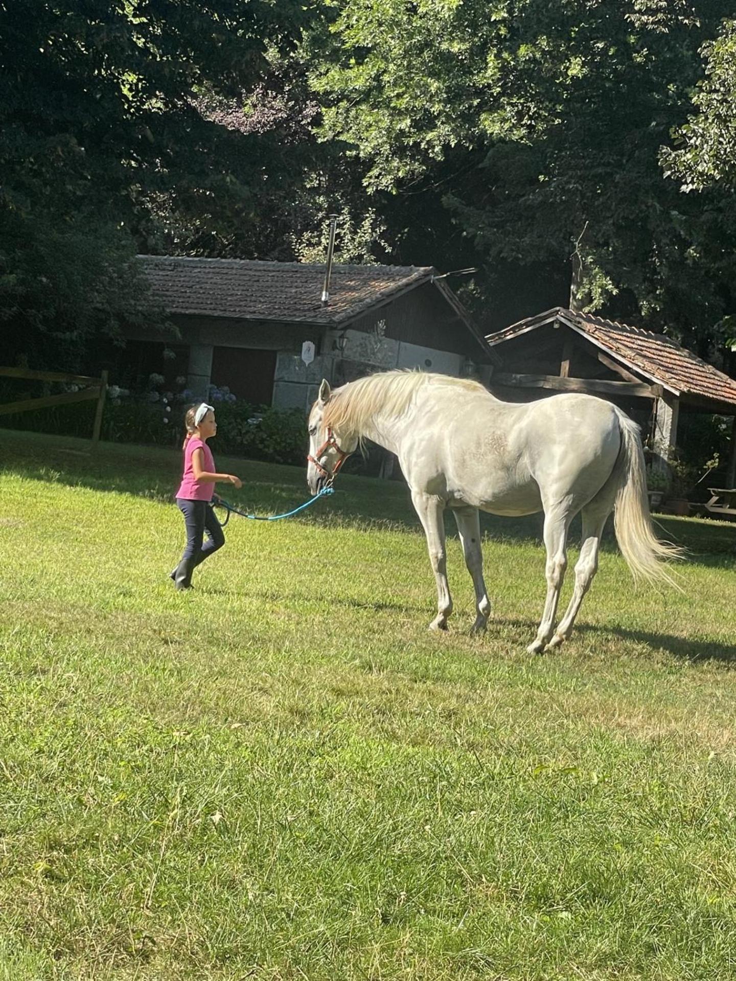 Quinta De Maderne Villa Felgueiras Kültér fotó