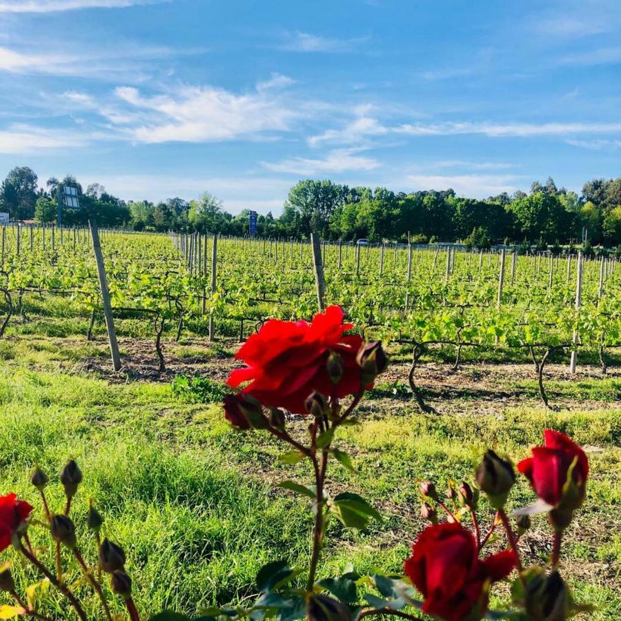 Quinta De Maderne Villa Felgueiras Kültér fotó
